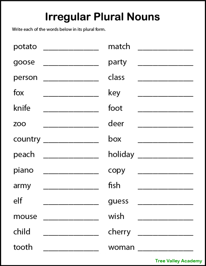 Irregular Plural Nouns Worksheet