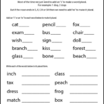 Plurals Worksheets Grade 6