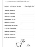 13 Free Printable Worksheets Possessive Nouns Worksheeto