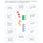 Amoeba Sisters Dichotomous Key Worksheet Answer Key